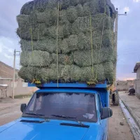 یونجه انباری تحویلی|عمده‌فروشی|قیدار, |دیوار