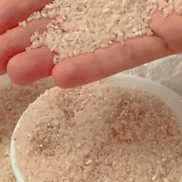 برنج ایرانی|عمدهفروشی|شاهینشهر, شهرک سایت|دیوار