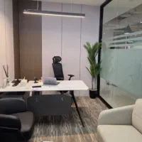منشی خانم