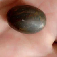 کار قدمت دار