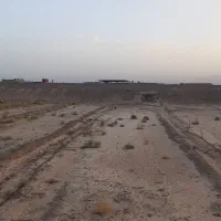 ۵۰ من (۵۰۰۰ متر) زمین پسته لوله کشی شده با آب|فروش زمین و ملک کلنگی|گناباد, |دیوار