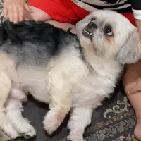 گمشده در محدوده اشتراکی