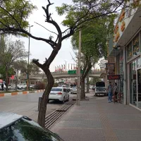 اجاره یک باب مغازه در خیابان اصلی کشاورز