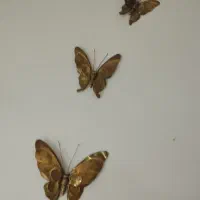 پروانه مسی دیواری|مجسمه، تندیس، ماکت|میبد, |دیوار