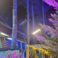 نیروی خدماتی نظافتی