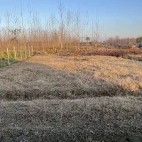 زمین شهرکی به مساحت257متر با پروانه ساخت