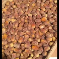 قصب درجه یک|خوردنی و آشامیدنی|شیراز, کاراندیش|دیوار