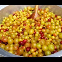 محصول خانگی رب آلوچه