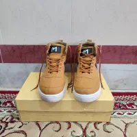 کفش|کیف، کفش، کمربند|کاشان, رسالت|دیوار