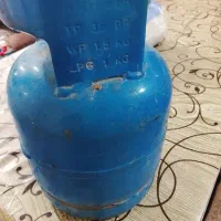 پیک نیک ۱ کیلویی