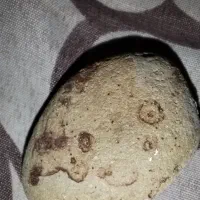 سنگ های عجیب