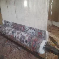 قالی چهار نشونی|فرش|اشکذر, |دیوار