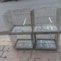 قفس سهره