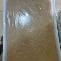پخش انواع زیتون وترشیجات وارده وشیره|خوردنی و آشامیدنی|شیراز, شهرک والفجر|دیوار