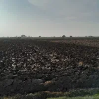 فروش زمین شالی|فروش زمین و ملک کلنگی|مزرعه کتول, |دیوار