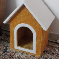 خانه پت گربه و سگ