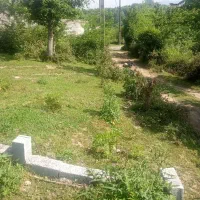 دویست متر زمین ویو ابدی به جنگل اشیان