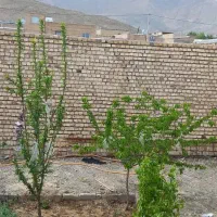 خانه ویلایی|فروش خانه و ویلا|دهق, |دیوار