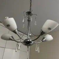 ۵ شاخه لوس تر