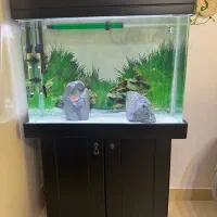 آکواریوم شرکتی