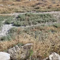 زمین کارگاهی شهرک گچی