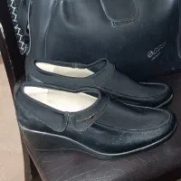 کیف و کفش زنانه