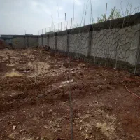 حصارویلایی در مزرعه نزدیک‌امام زاده کوی صفا|فروش خانه و ویلا|صوفیان, |دیوار