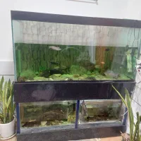 آکواریوم و پایه یک متری