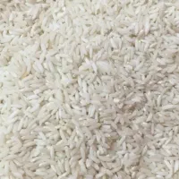 برنج محلی دورود لرستان