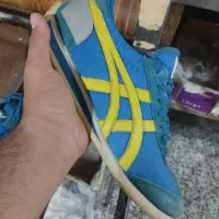 اسیکس اورجینال