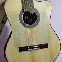 گیتار حرفه ای اکسنت