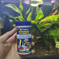 غذا ماهی آب شور و رنگ تروپیکال اروپایی پلم