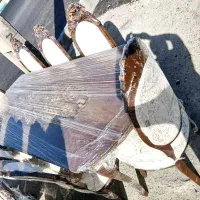 ست مبلمان و ناهارخوری سلطنتی چوب راش|مبلمان خانگی و میز عسلی|زنجان, |دیوار