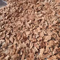 نان خشک کیلویی 40/ارسال رایگان از مینودشت
