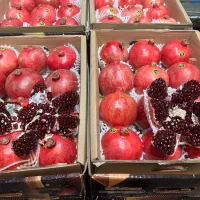 تامین میوه و تره بار عمده برای شرکت ها و ارگانها|عمدهفروشی|تهران, میدان میوه و ترهبار مرکزی|دیوار