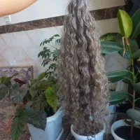 خریدار مو بدون واسطه
