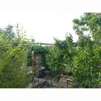 باغ ویلا آخر هفته پنج شنبه و جمعه درخواست در هفته|اجارهٔ کوتاهمدت ویلا و باغ|شاهرود, |دیوار