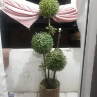 درختچه مصنوعی با گلدان حصیری