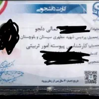 کیف گمشده