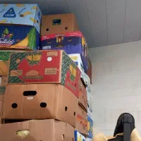 ۲۵ عدد کارتن موزی در حد نو|ابزارآلات|تهران, بهار|دیوار