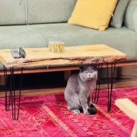 فروش اپارتمان مسکن مهر فرخی