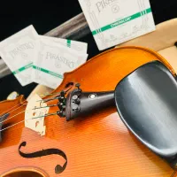 ویولن حرفه‌ای tin Jin 00800 باسیم پیراستروسبزالمان