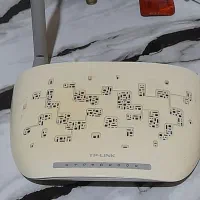 دوعدد مود سالم به شرط معاوضه با طوطی برزیلی