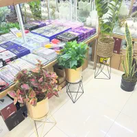 درختچه مصنوعی|گل مصنوعی|خرمآباد, |دیوار