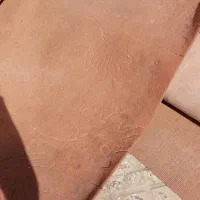 موکت کارکرده