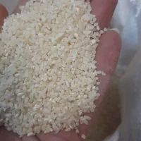 انواع برنج ایرانی و هندی|خوردنی و آشامیدنی|محمدشهر, ولدآباد|دیوار