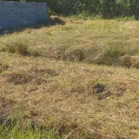 زمین مسکونی لاهیجان ویو ابدی تالاب|فروش زمین و ملک کلنگی|لاهیجان, بوجایه|دیوار