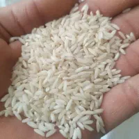 برنج محل اصل .کاظمی. موجود است .دو تن|عمدهفروشی|بروجرد, |دیوار