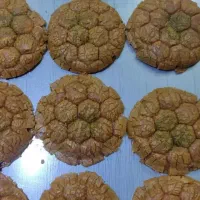 پخش سوهان قم در استان گیلان|خوردنی و آشامیدنی|رشت, معلم|دیوار