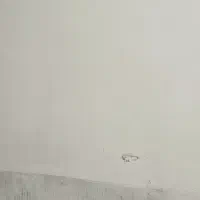 مغازه اجاره‌ای